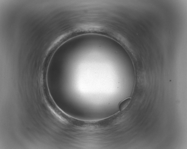 X0000083040629200702021152