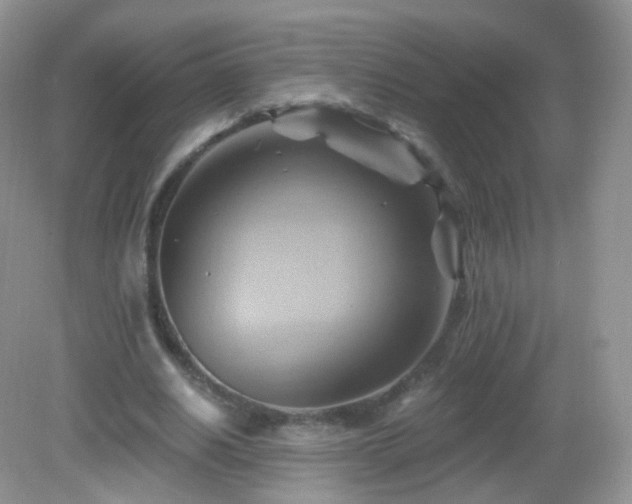 X0000083040630200702021152