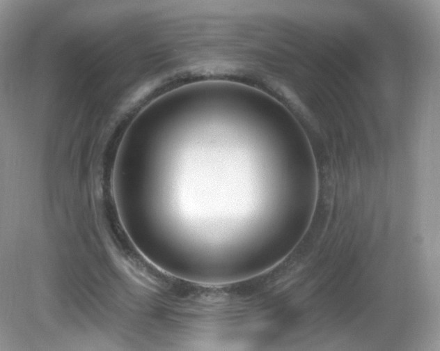 X0000083040631200702021153