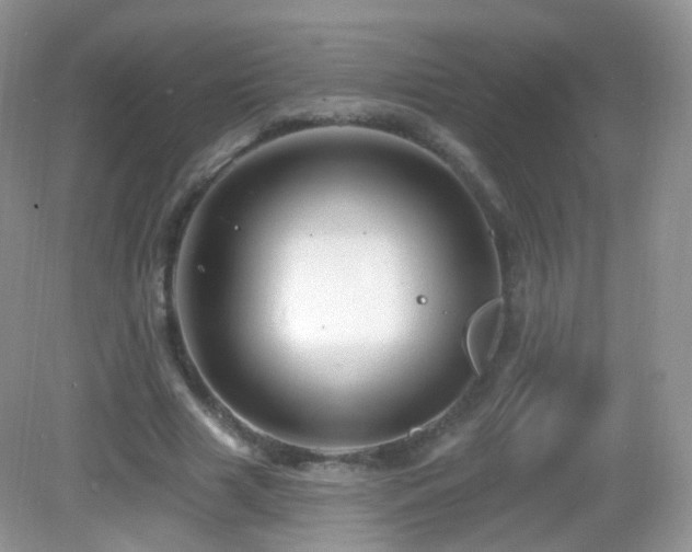 X0000083040633200702021153