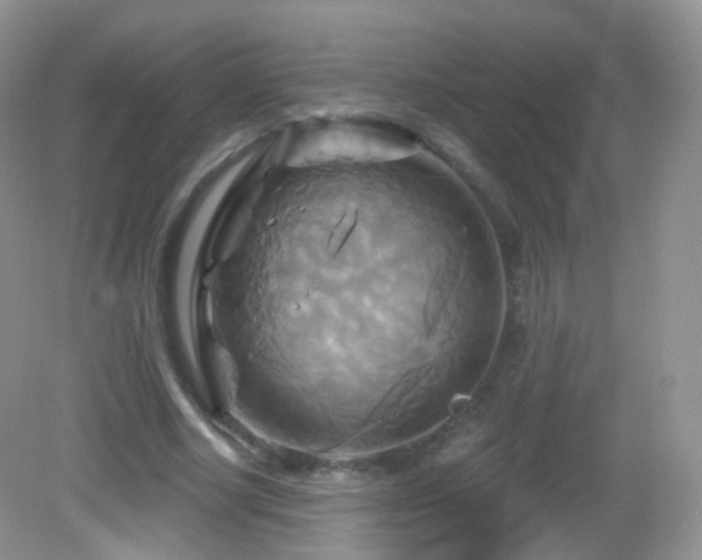 X0000083040634200702021153