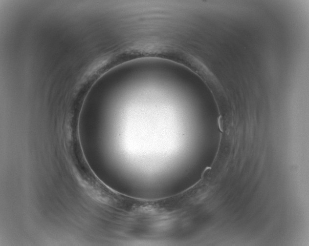 X0000083040635200702021153