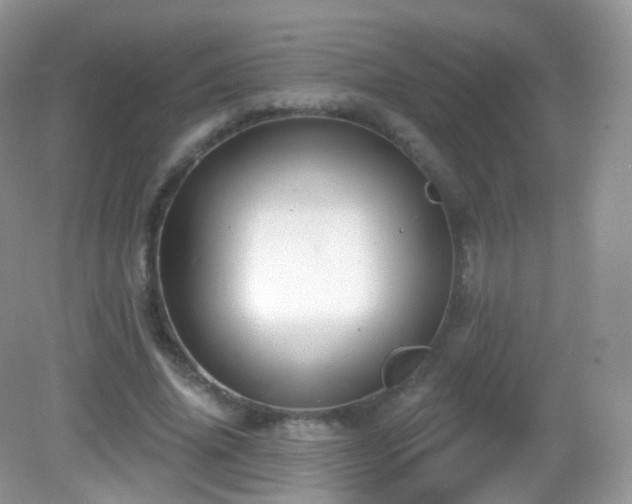 X0000083040636200702021153