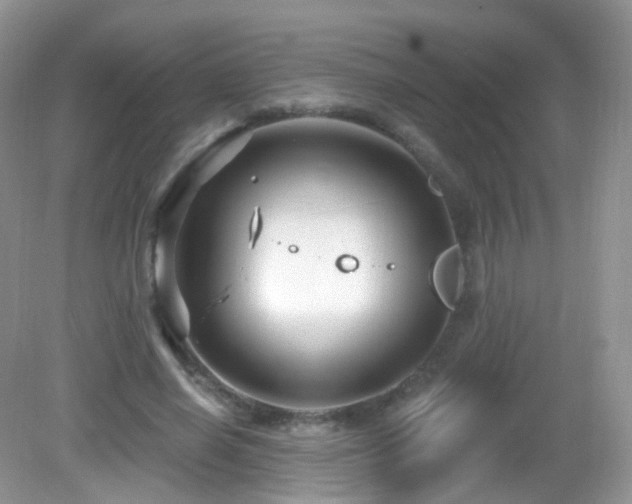 X0000083040638200702021153