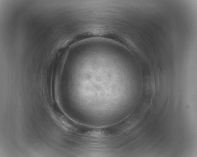 X0000083040639200702021153