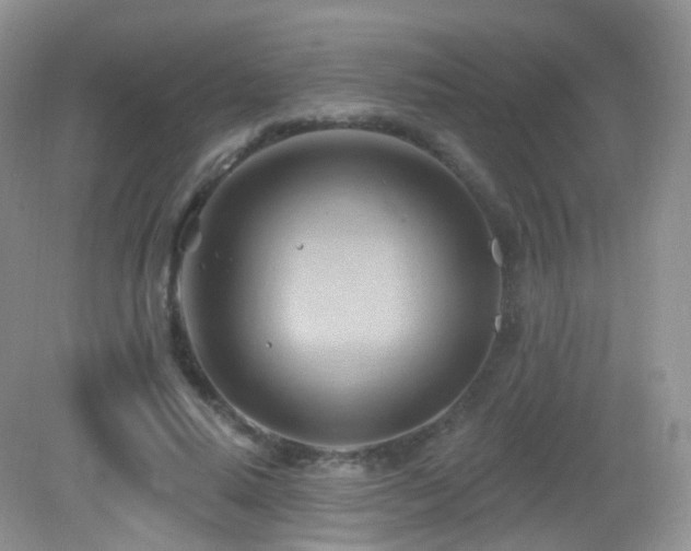 X0000083040640200702021153