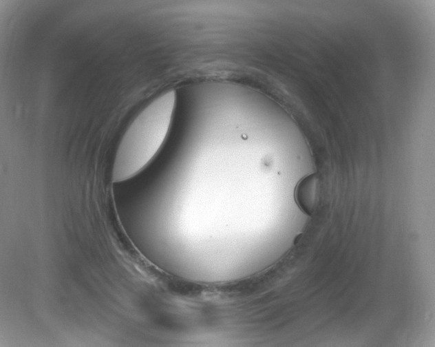 X0000083040641200702021153