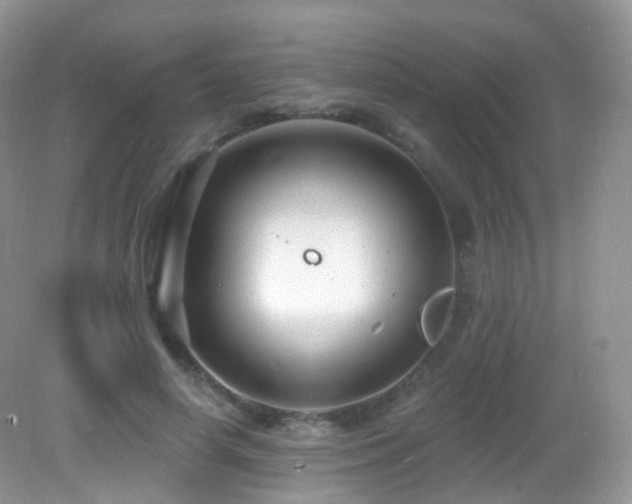 X0000083040642200702021153