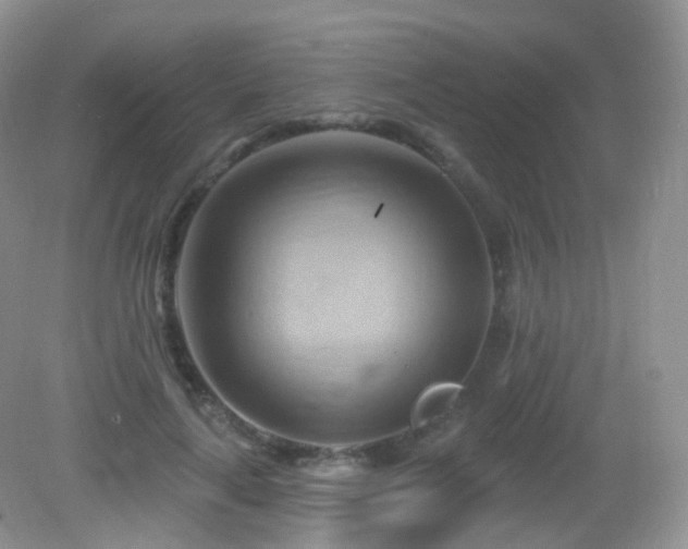 X0000083040643200702021153