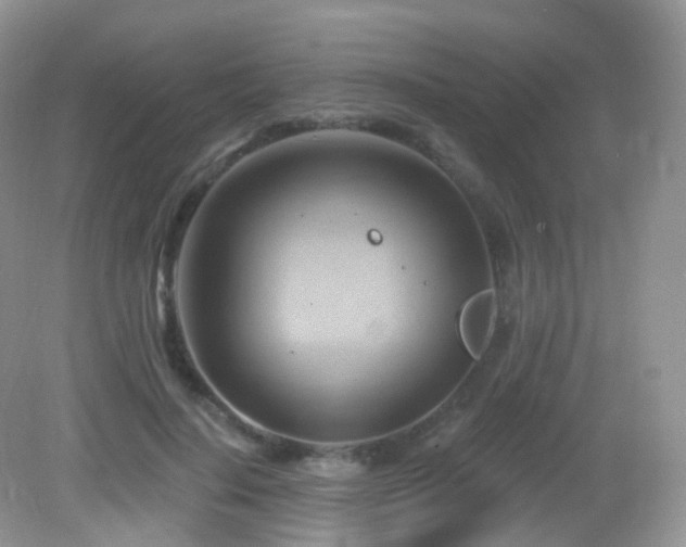 X0000083040644200702021153