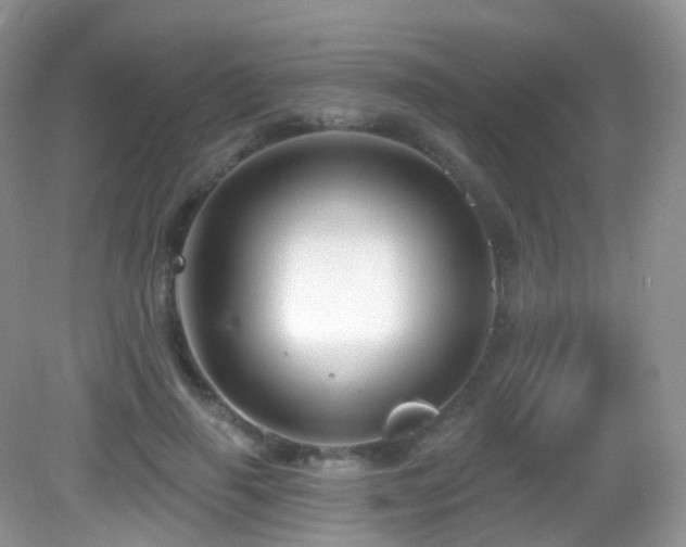 X0000083040645200702021153