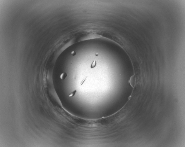 X0000083040646200702021153