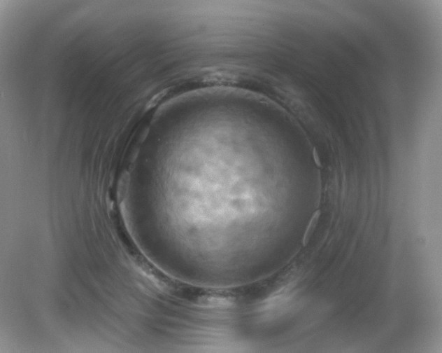 X0000083040649200702021153