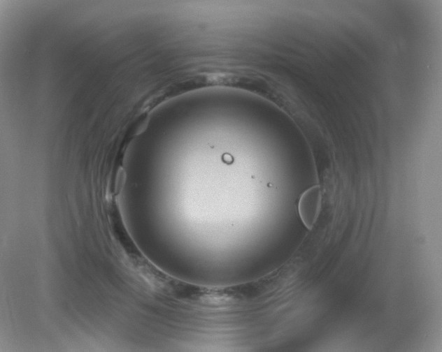 X0000083040650200702021153