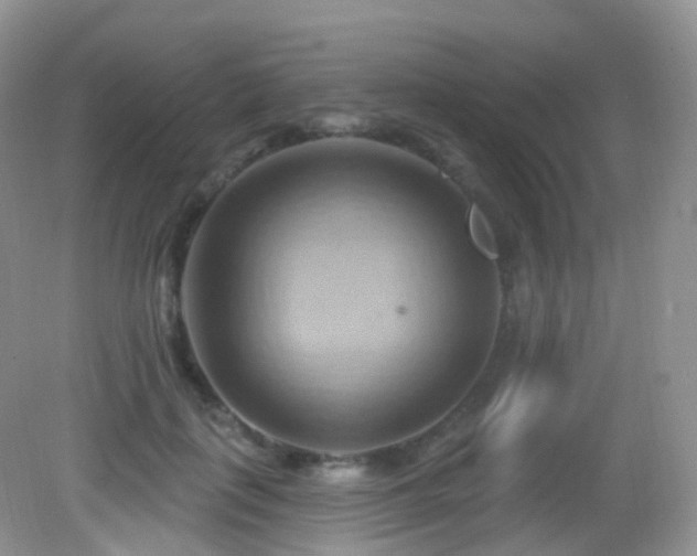 X0000083040651200702021153