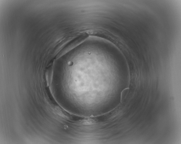 X0000083040652200702021153