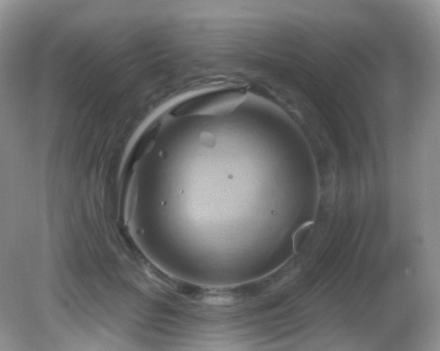 X0000083040653200702021153