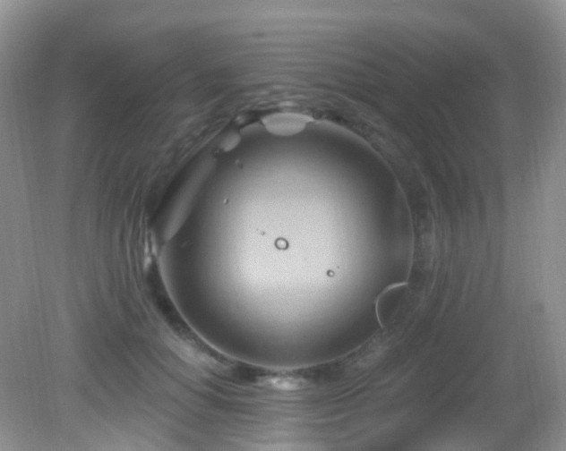 X0000083040654200702021153