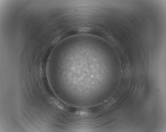 X0000083040655200702021153