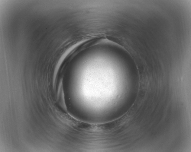 X0000083040656200702021153