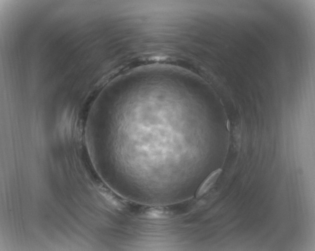 X0000083040657200702021153