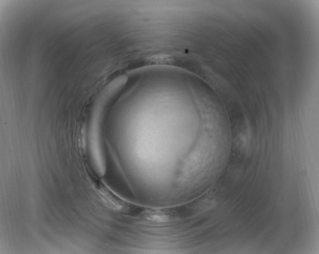 X0000083040658200702021153