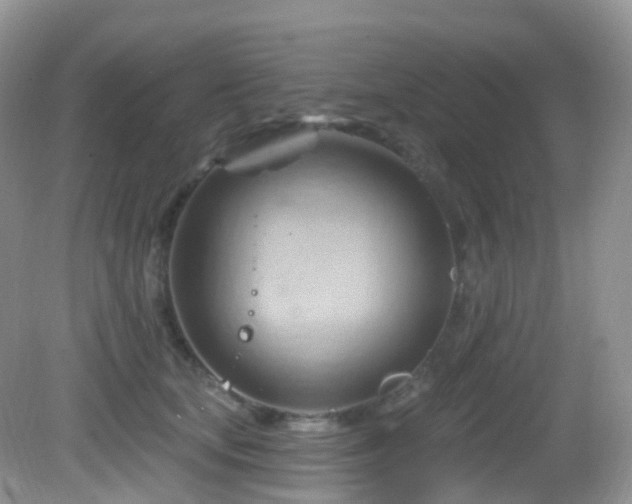 X0000083040659200702021153