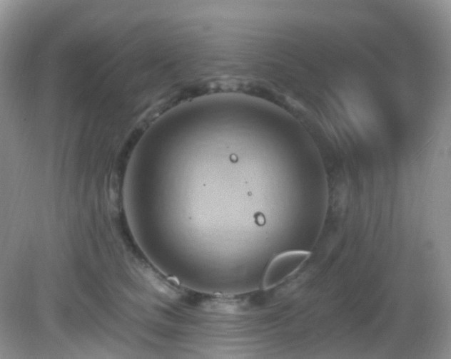 X0000083040661200702021153