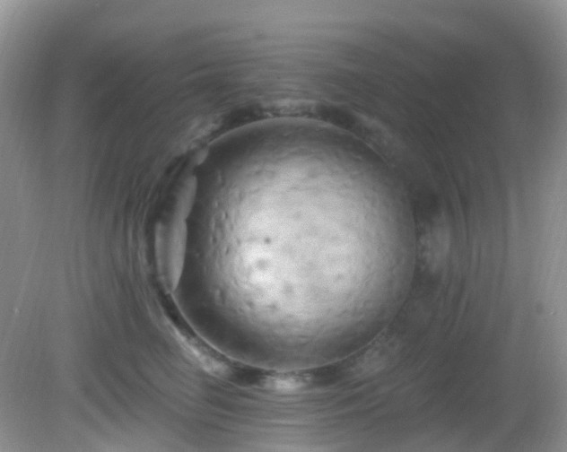 X0000083040662200702021153