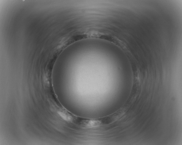 X0000083040663200702021153