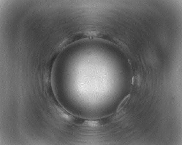 X0000083040665200702021153