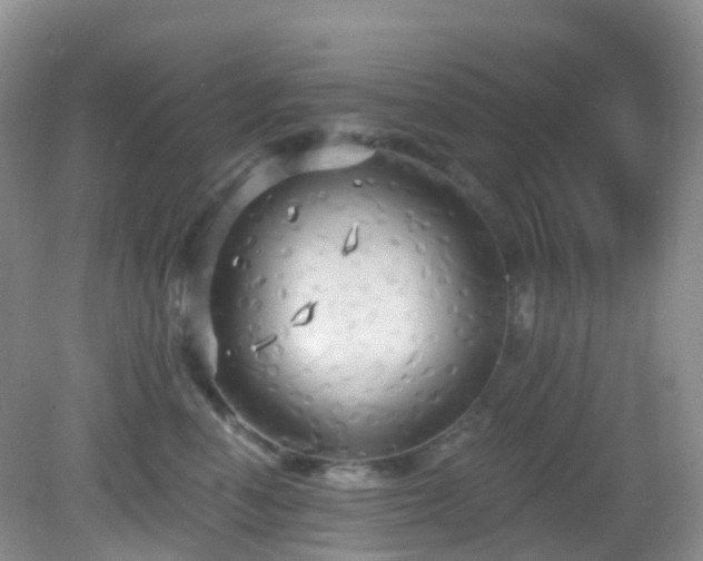 X0000083040666200702021153