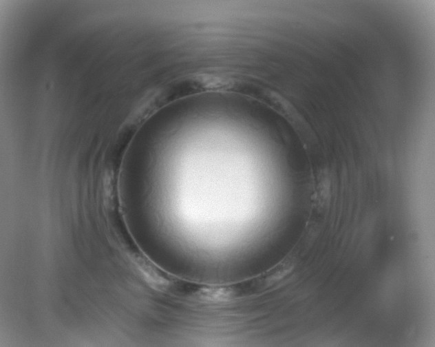 X0000083040667200702021153