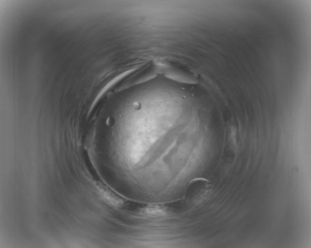 X0000083040668200702021153