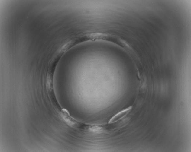 X0000083040669200702021153