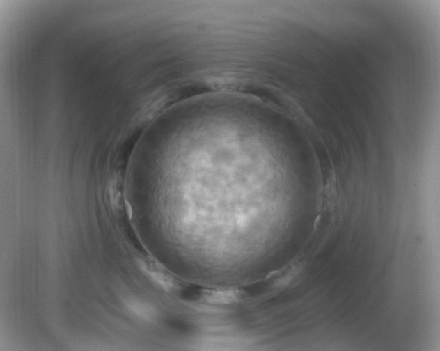 X0000083040671200702021153