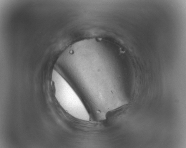 X0000083040672200702021153