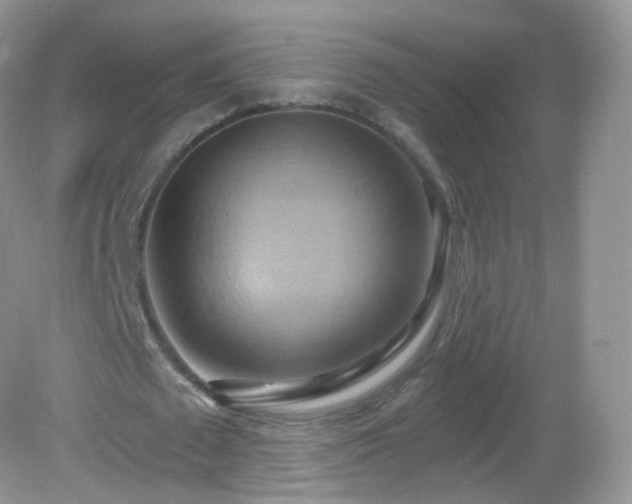 X0000083040673200702021152