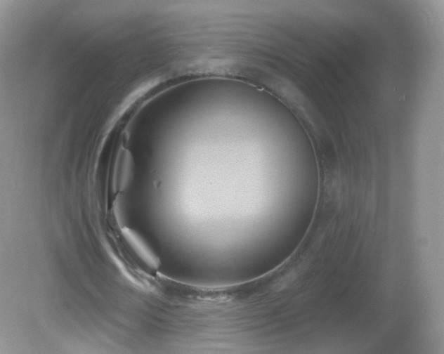 X0000083040674200702021152