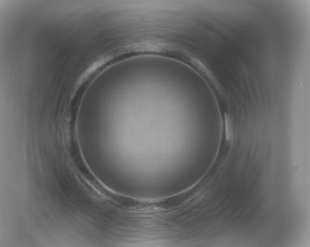 X0000083040675200702021152