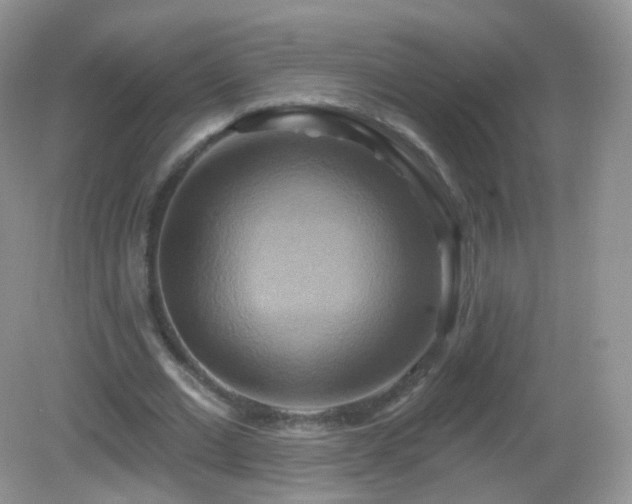 X0000083040677200702021152