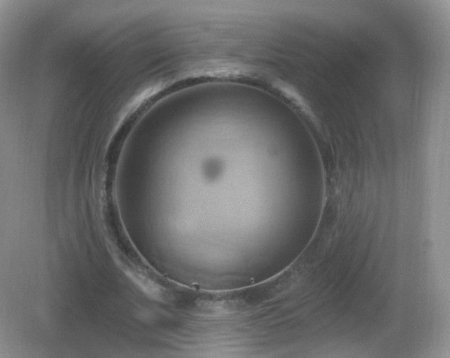 X0000083040679200702021152