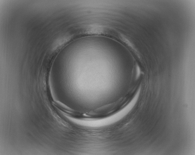 X0000083040681200702021152