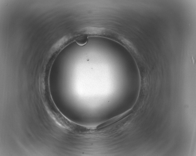 X0000083040682200702021152