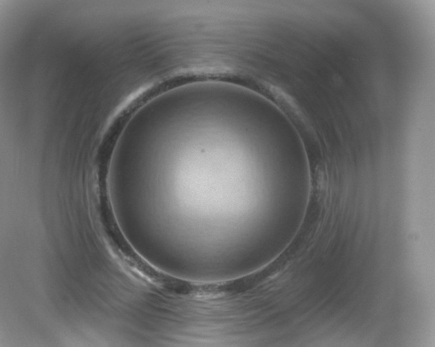 X0000083040684200702021152