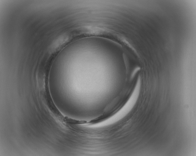 X0000083040685200702021152