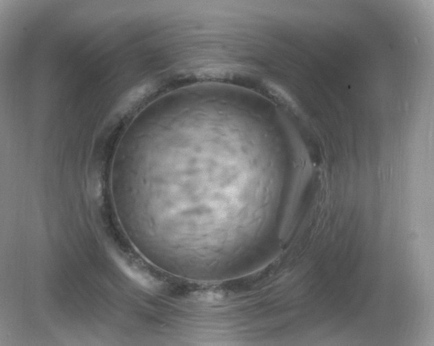 X0000083040687200702021152