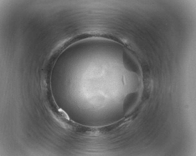 X0000083040688200702021152