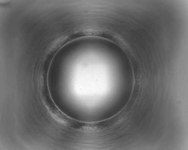 X0000083040690200702021152