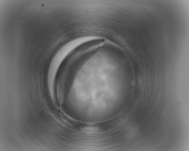 X0000083040691200702021152